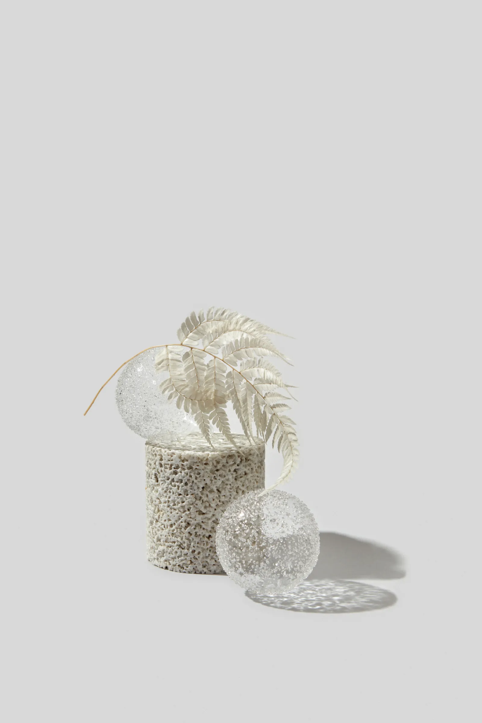 Two clear glass spheres on a coral-like textured base with a white fern leaf, on a light background.
