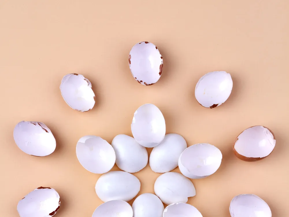 Understanding Egg Donor Insurance