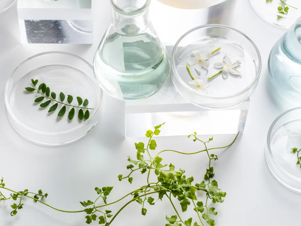 Sperm Retrieval Procedures: What You Need to Know About TESE, PESA, and Micro-TESE