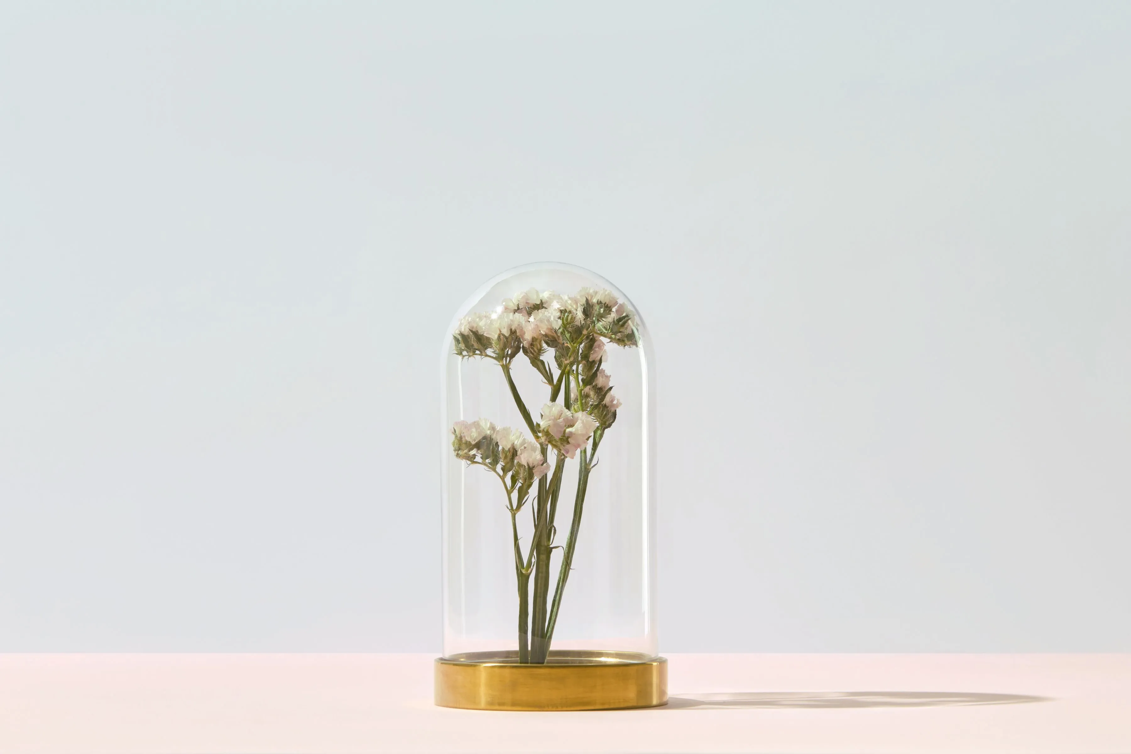 Flowers under glass dome