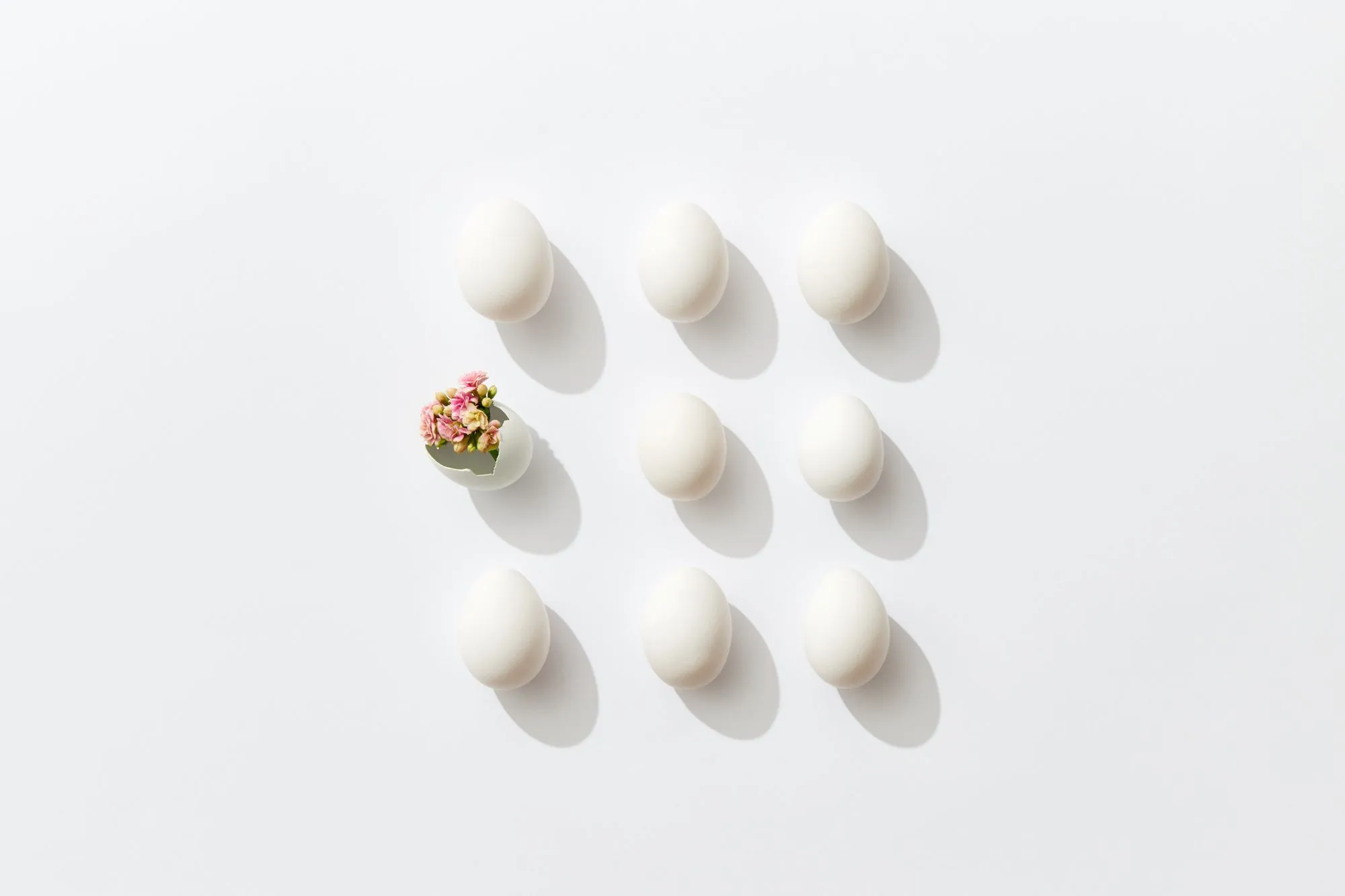 BMI Requirements for Egg Donation: What Donors Need to Know
