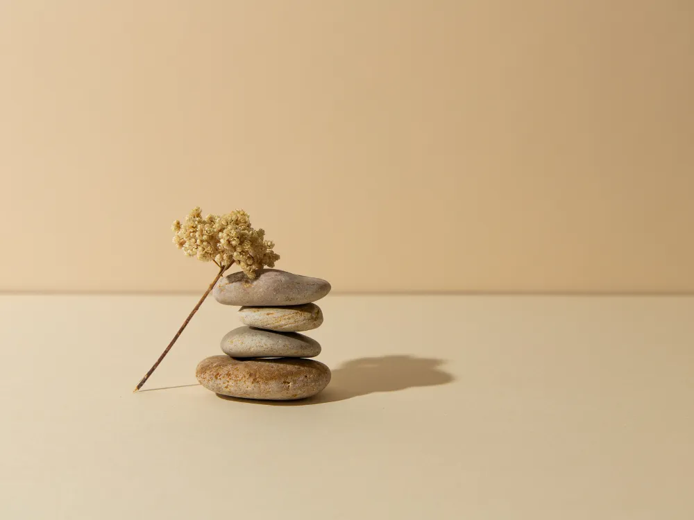 How is Fertility Evaluation Done? A Step-by-Step Guide