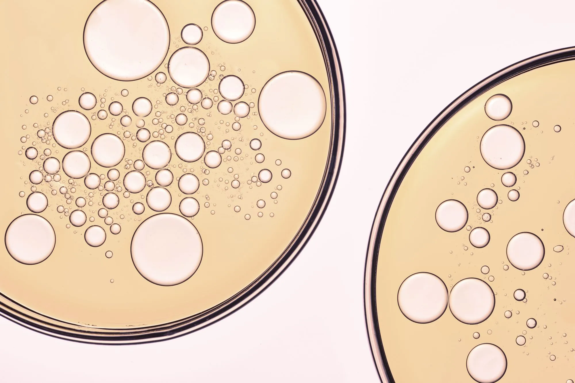 Webinar: COVID-19 Updates and Fertility