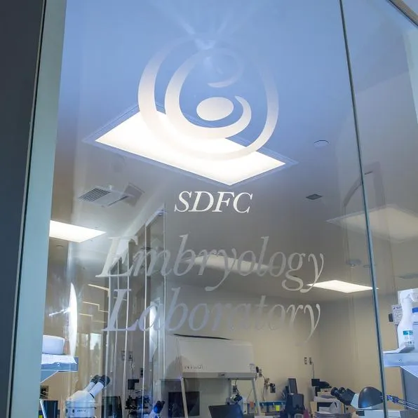 Doorway into SDFC