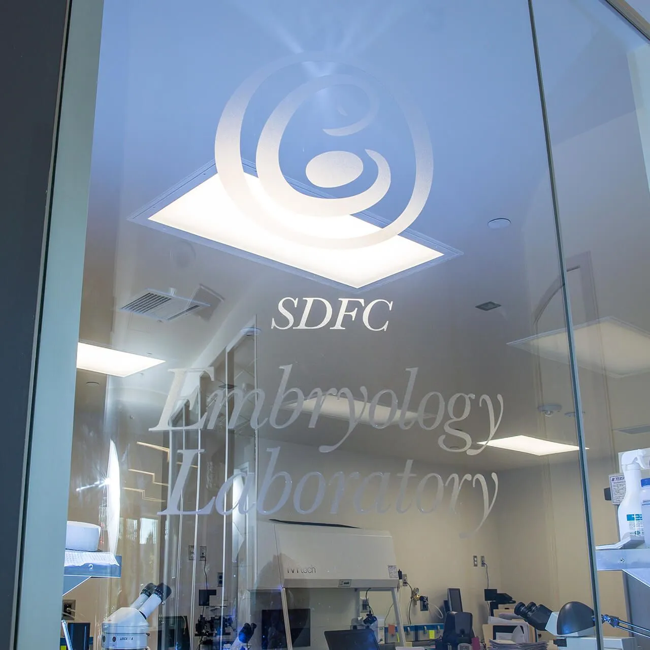 Doorway into SDFC