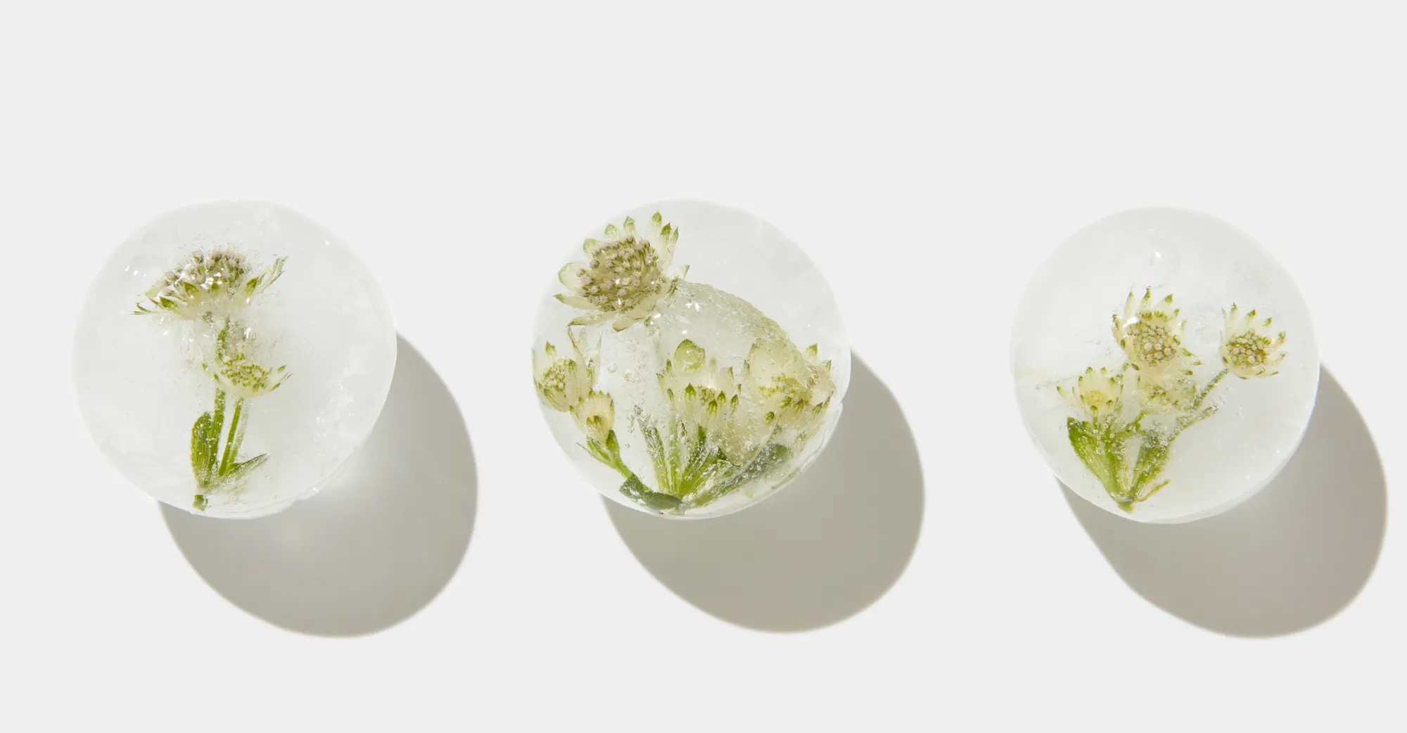 Cryoshipping for IVF: Safe Transport of Eggs, Sperm, and Embryos