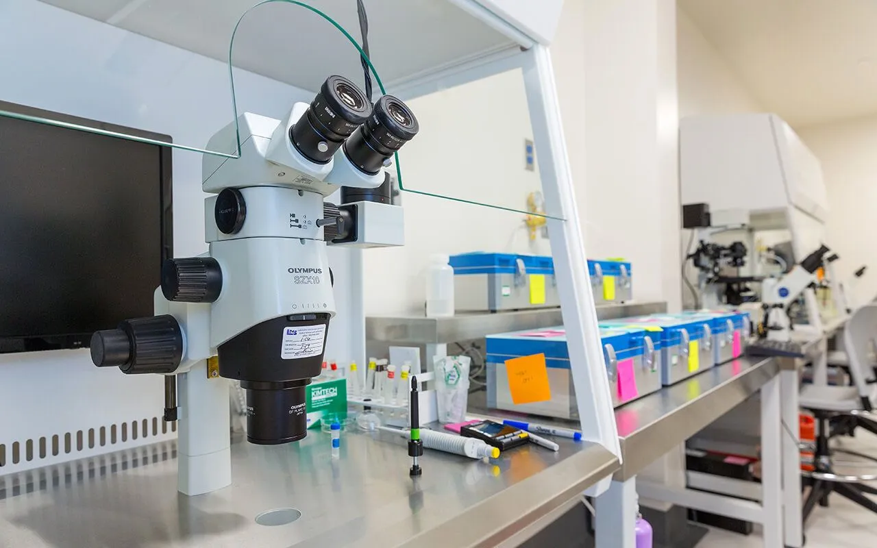 Microscope in the SDFC Lab